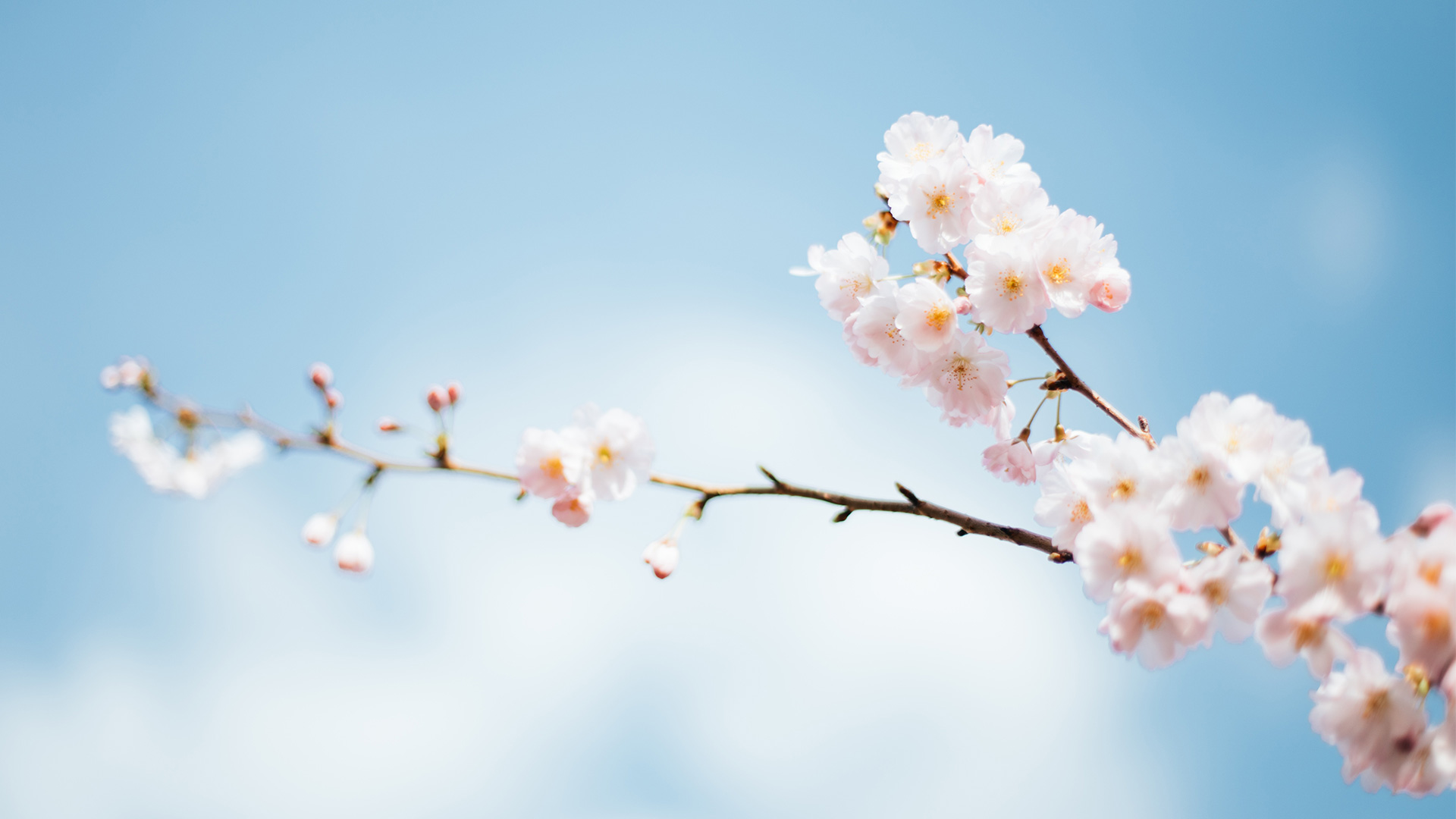 障がい者グループホーム　花笑み　小牧